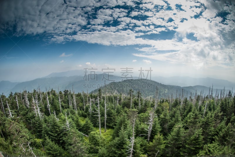 clingman's dome,阿巴拉契亚山间栈道,蓝色山脊山脉,田纳西,鱼眼镜头,阿巴拉契亚山脉,北卡罗来纳,天空,旅行者,夏天