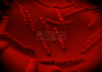 细菌,艺术品,阳性细菌,革兰氏染色剂,喉咙痛,链球菌,水平画幅,微生物学,绘画插图,教育科目