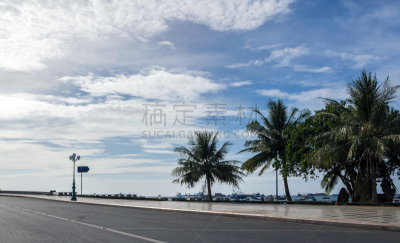 码头,棕树之王,黄海,中国海,层云,林荫大道,天空,灯笼,水平画幅,无人