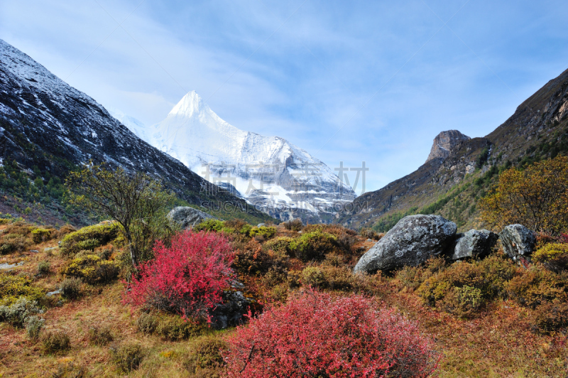 雪,山顶,甘孜藏族自治州,水,天空,水平画幅,旅行者,户外,草,树林