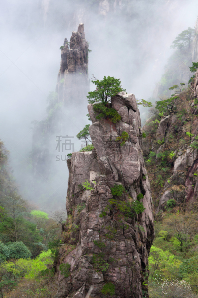 中国,大峡谷,黄山,黄山山脉,安徽省,垂直画幅,天空,美,山,早晨