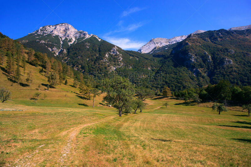 斯洛文尼亚,julian alps,自然,宁静,水平画幅,无人,欧洲,夏天,户外,草