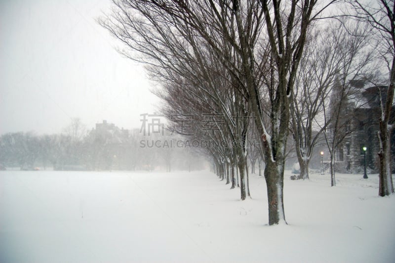 大风雪,校园,罗得岛,水平画幅,冬天,无人,环境,罗德岛大学,摄影