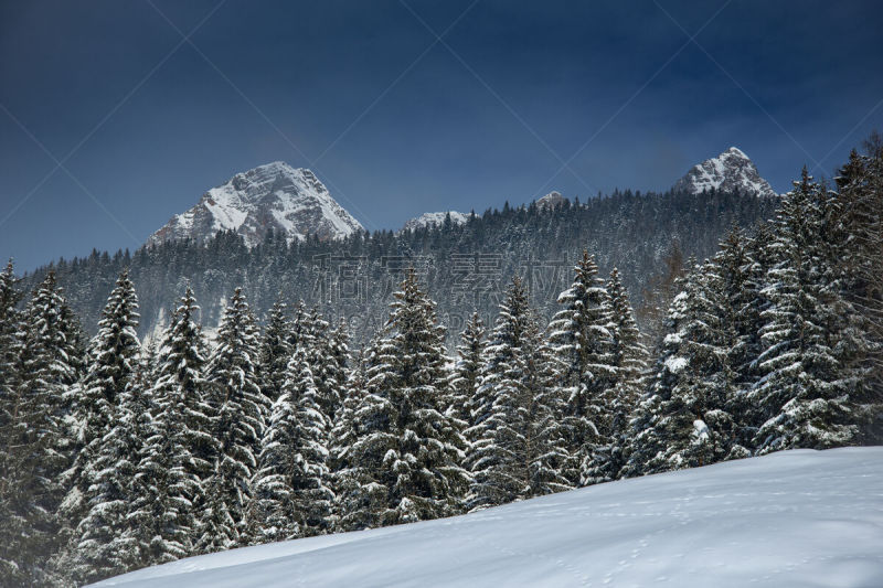 冬天,地形,寒冷,环境,奥地利,霜,雪,萨尔费尔德,自然美,深雪