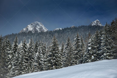 冬天,地形,寒冷,环境,奥地利,霜,雪,萨尔费尔德,自然美,深雪