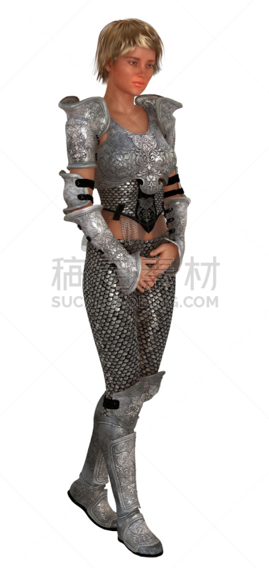 盔甲服,华丽的,侍从,女性,分离着色,锁子甲,传统装甲,垂直画幅,金色头发,女人