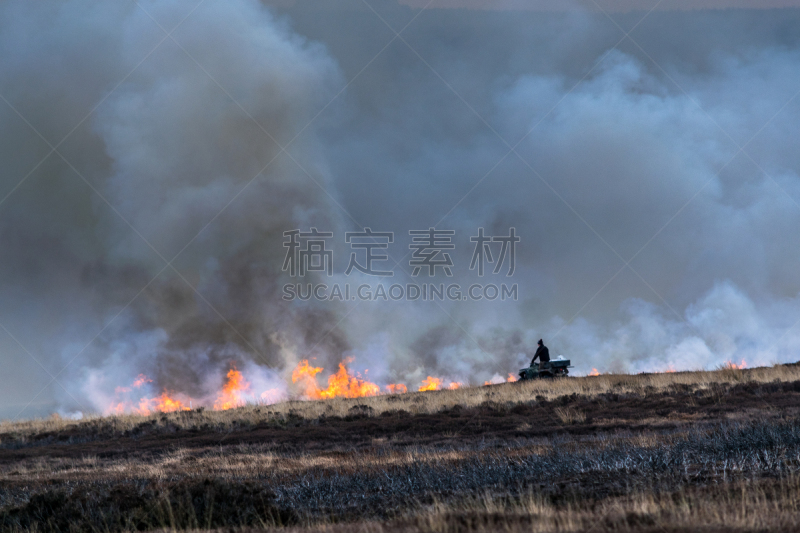 石南花,自然,天空,金雀花,停泊的,旷野,摩尔人风格,水平画幅,地形,山