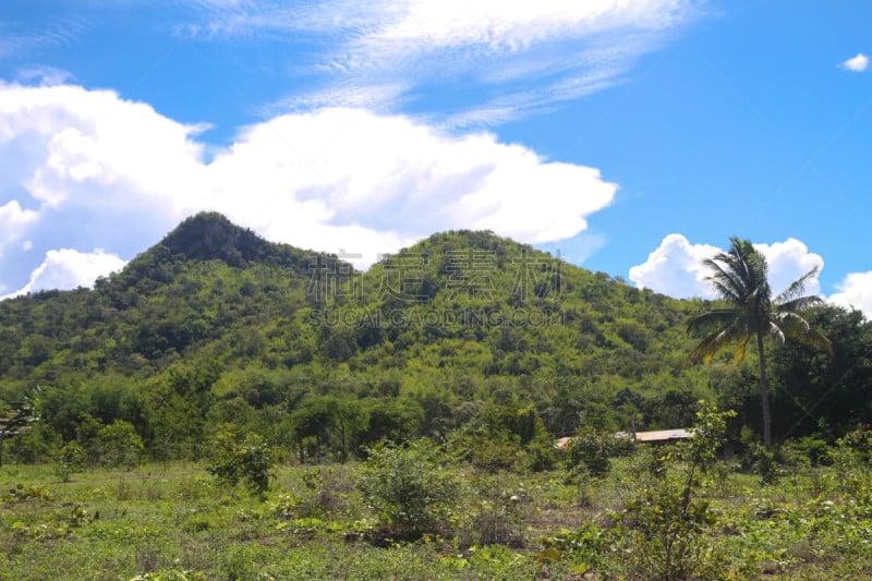 天空,绿山国家森林公园,自然美,茉莉雅岛,自然,法国海外领土,水平画幅,夜晚,无人,夏天