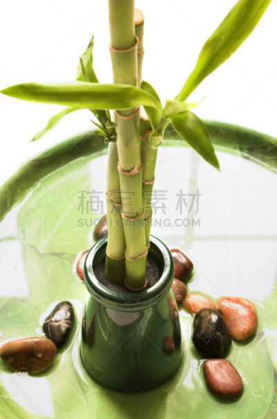 垂直画幅,四元素,佛教,竹子叶,自然,水,禅宗,宁静,绿色,无人