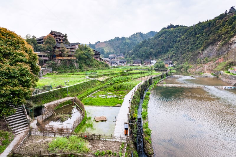 灌溉设备,田地,稻,三江,水稻梯田,梯田,稻田,运河,河岸,水