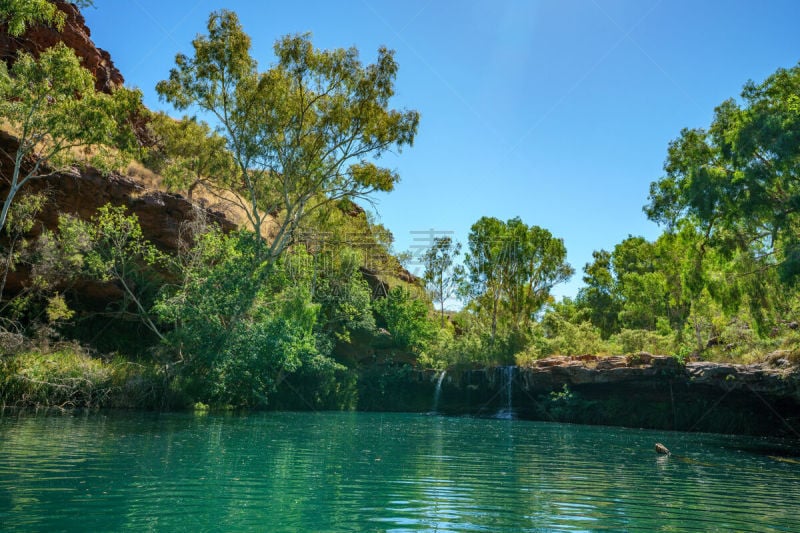 西澳大利亚,dales gorge,蕨类,池塘,两只动物,壁纸,草,巨石,小路,红岩石