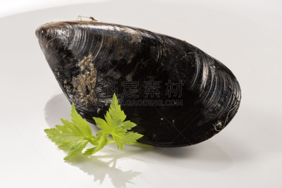 清新,生食,欧芹,贻贝,自然界的状态,食品,成分,餐馆,蛋白质,海鱼