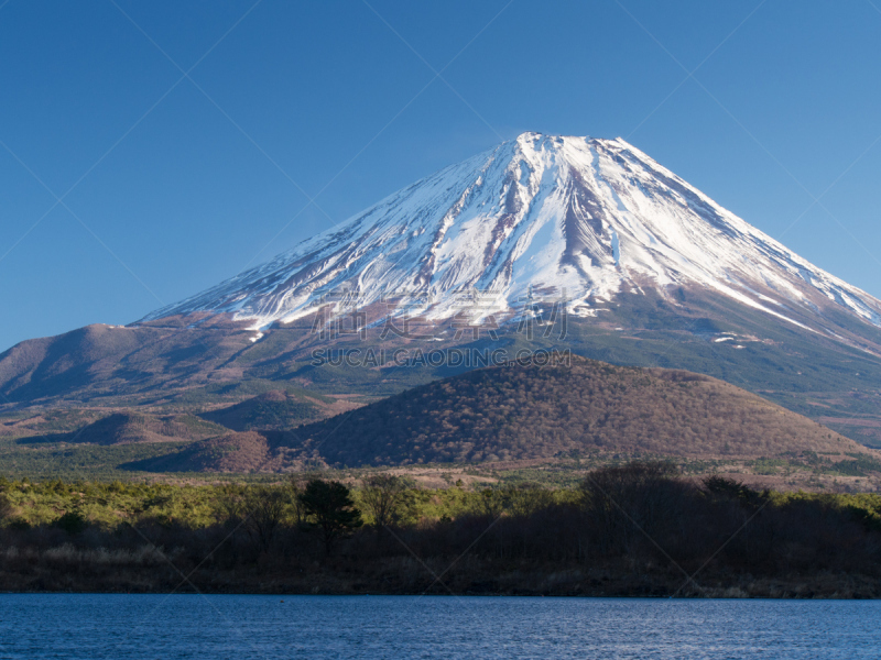 富士山,湖,冬天,早晨,自然美,精进湖,山梨县,天空,水平画幅,雪