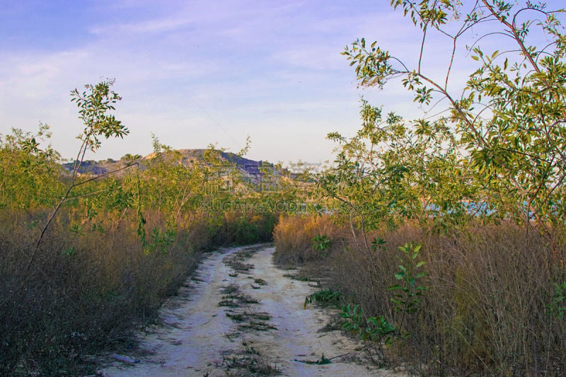 湖,小路,泥土,植物群,与众不同,视角,旅途,空的,几何形状,灰色