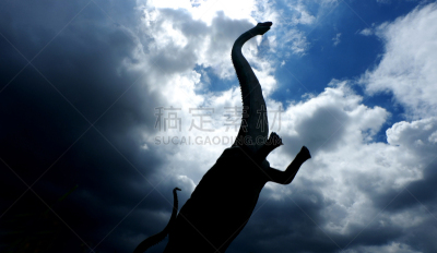 恐龙,清迈省,乡村,泰国,天空,野生动物,水平画幅,云,恐龙省立公园,阿尔伯塔省