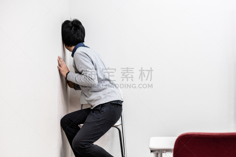 双相障碍,爱探听私事的,结论,人力资源,水平画幅,会议,日本人,青年人,商业金融和工业,危险