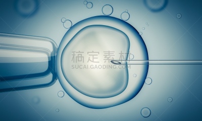 人工授精,女性,卵,注射器,辅导讲座,脱氧核糖核酸,细胞核,细胞,生殖器官,人造的