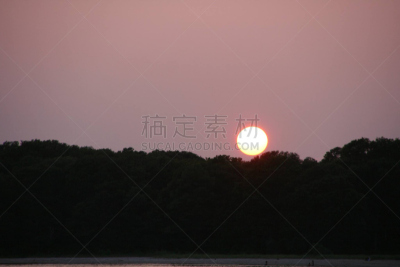 黄昏,林荫大道,日光,水平画幅,无人,日落,摄影,树