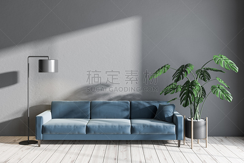沙发,起居室,蓝色,灰色,空的,华贵,舒服,现代,植物,三维图形