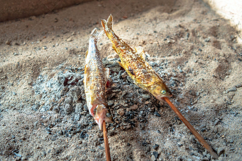 鱼类,格子烤肉,国内著名景点,旅途,烤的,食品,碳烤,烤肉架,成分,著名景点