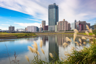 熊本,都市风景,河流,日本,水平画幅,无人,运河,户外,草,滨水