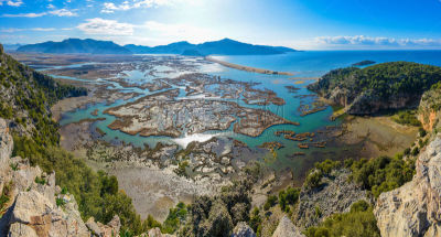 达尔扬,疱锈病真菌,沼泽,湿地,海岸线,土耳其,三角洲,水,水平画幅,山