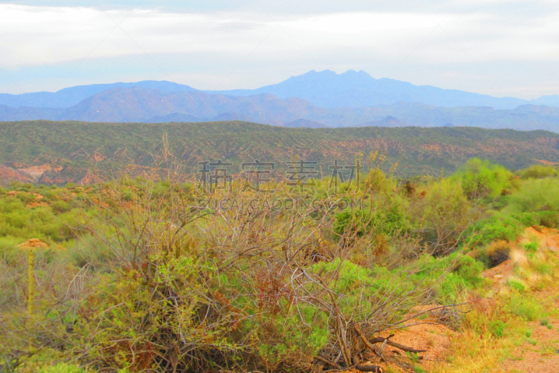 tonto national forest,春天,自然,美国,水平画幅,地形,无人,户外,自然美,美国西南部