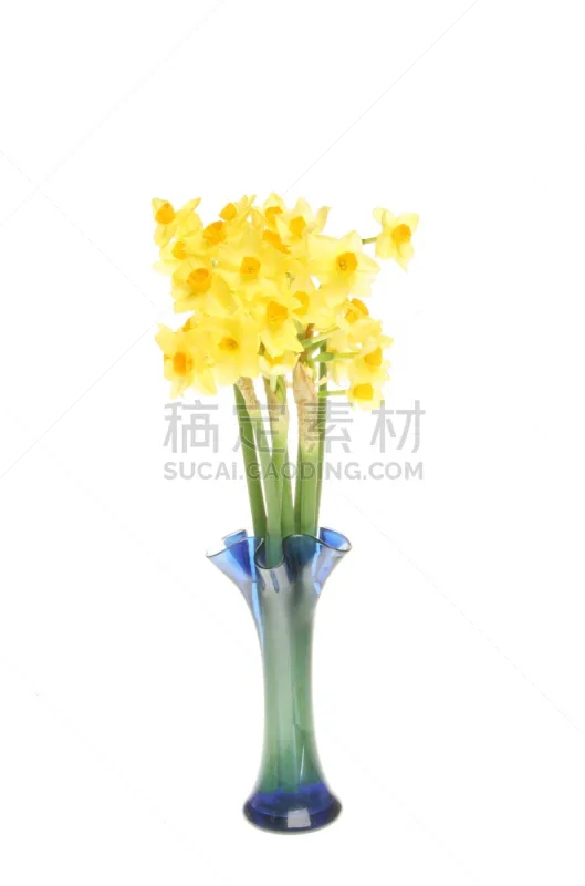 花瓶 水仙花 垂直画幅 雄蕊 无人 蓝色 玻璃 玻璃杯 背景分离 白色图片素材下载 稿定素材 花瓶 水仙花 垂直画幅 雄蕊 无人 蓝色 玻璃 玻璃杯 背景分离 白色图片素材下载 稿定素材