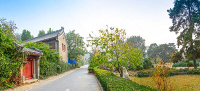 校园,建筑外部,传统,草坪,草,知识,园艺展览,国际著名景点,街道,菜园