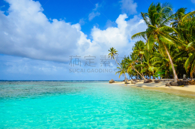 岛,鸡尾酒,水,天空,群岛,沙子,夏天,异国情调,棕榈树,白色
