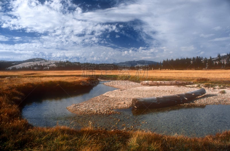 tuolumne meadows,图奥勒米河,浮木,水,天空,休闲活动,水平画幅,无人,户外,草