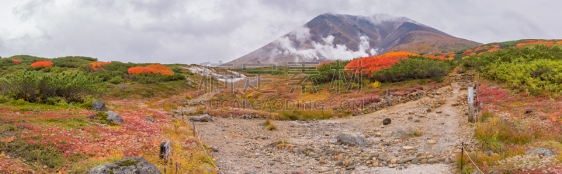旭川,山,叶子,秋天,全景,日本,北海道,看风景,植物群,大雪山国家公园