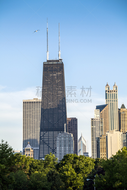 美国,城市天际线,伊利诺斯州,芝加哥市,垂直画幅,建筑,无人,蓝色,户外,都市风景