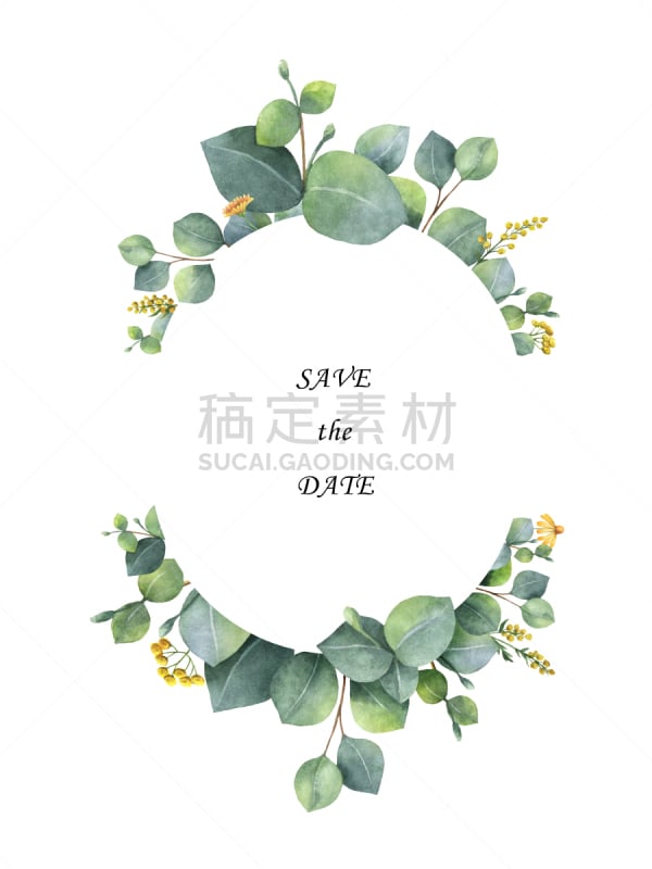 桉树,叶子,花环,枝,发财树,水彩画,乙醚,水彩画颜料,植物学,草药