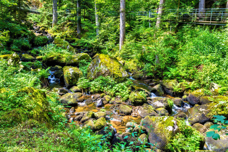 河流,在底端,triberg im schwarzwald,簇叶从生的,巴登-符腾堡州,水,公园,水平画幅,山,瀑布