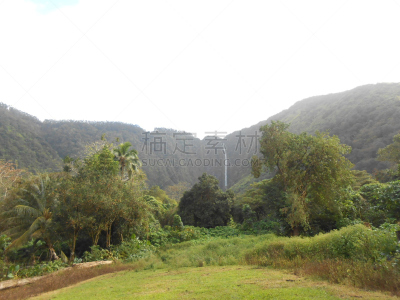 威毕欧山谷,夏威夷大岛,农场,哈玛库亚海岸,木瓜树,夏威夷人,木瓜,水平画幅,山,瀑布