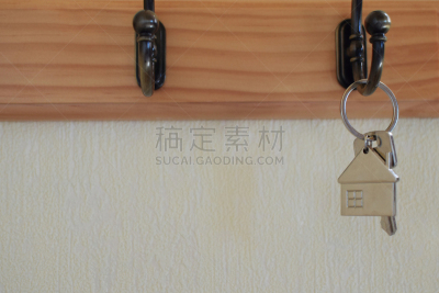 钥匙,吊钩,房间钥匙,不锈钢,安全,易接近性,空的,拉脱维亚,木隔板,钢铁