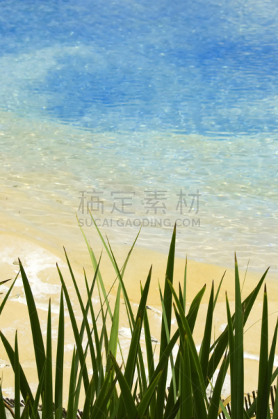 草,红海,垂直画幅,天空,沙子,埃及,旅行者,夏天,偏远的,海滩