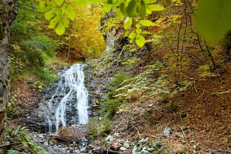 山谷,非凡的,kuskovo庄园,高处,水平画幅,塔特里山脉,无人,足球运动,灌木,不关心