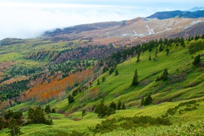 秋天,风景,滋贺县,叶子,长野县,色彩鲜艳,草津山,户外活动,植物,背景