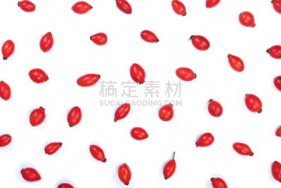 风景,浆果,式样,白色背景,分离着色,平铺,蔷薇果,荆棘,白色