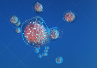 细胞,三维图形,医学研究,药,科学实验,技术,细胞核,鸡蛋,除法