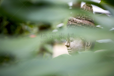 特写,安静,过去,野外动物,佛,艺术,水平画幅,软体动物,符号,古老的