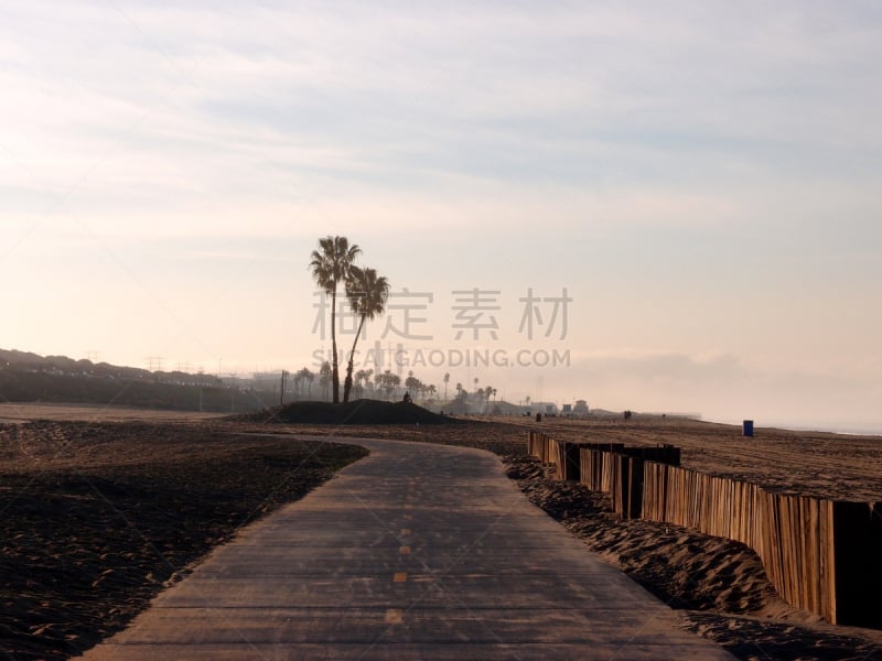 海滩,州立公园,自行车道,棕榈树,自然,风景,图像,加利福尼亚,海洋,太平洋