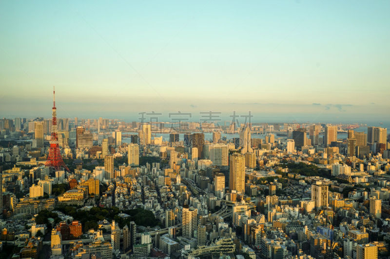 东京,城市天际线,新宿住友大厦,浅草,六本木,办公室,天空,美,水平画幅,山