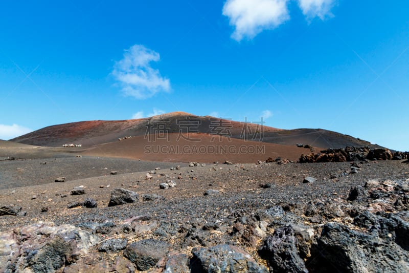 兰萨罗特岛,麻省理工学院,timanfaya national park,熔岩平原,驼队,火山喷口,熔岩,大西洋群岛,火山,骆驼