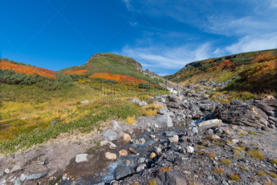 北海道,山,小溪,地形,秋天,暴力,日本,旭岳火山,沟壑,水平画幅