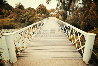 美,派克大街,维朗德里,哥本哈根,自然,水平画幅,建筑,无人,厄勒海峡地区,植物园