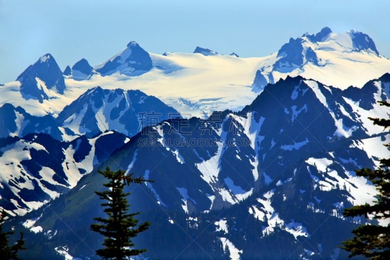 飓风山脊,奥林匹士山,奥林匹克国家公园,雪,山,华盛顿州,奥林匹克山脉,奥林匹克山,国家公园,水平画幅