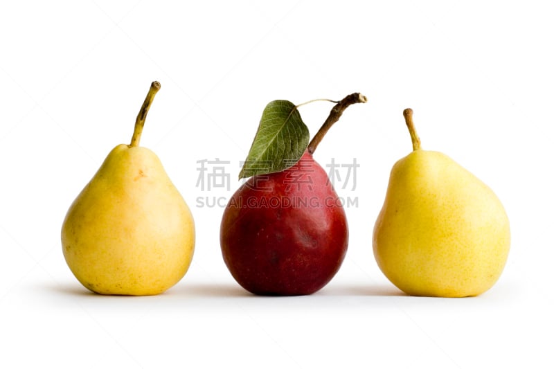 梨,anjou pear,巴氏梨,水平画幅,饮料,甜点心,清新,叶子,季节,一个物体